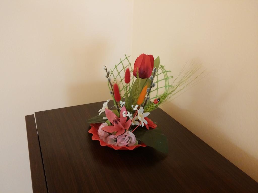 Premier Apartment Satu Mare Extérieur photo