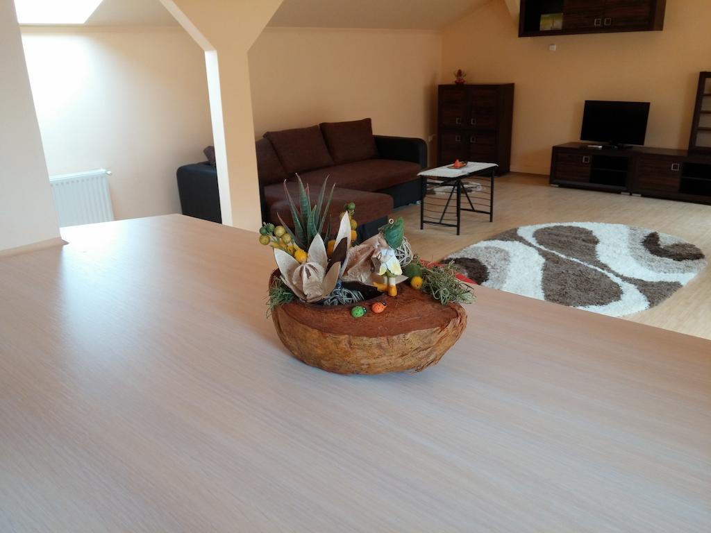 Premier Apartment Satu Mare Extérieur photo